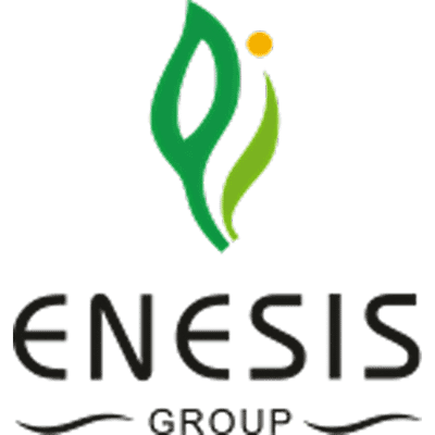 Enesis